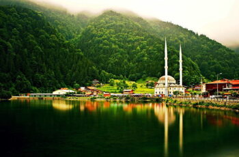 İstanbul Trabzon Transfer